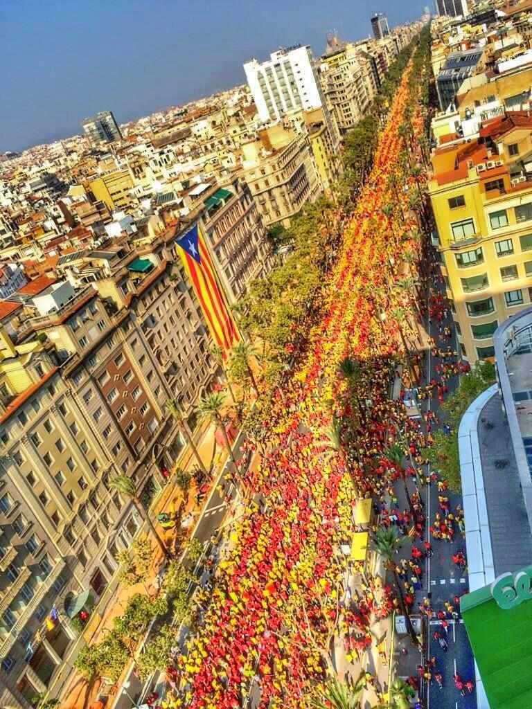 BielBusquets's tweet photo. Al final.... #CataloniaWins #faremHistòria http://t.co/FRGeV9X7kj