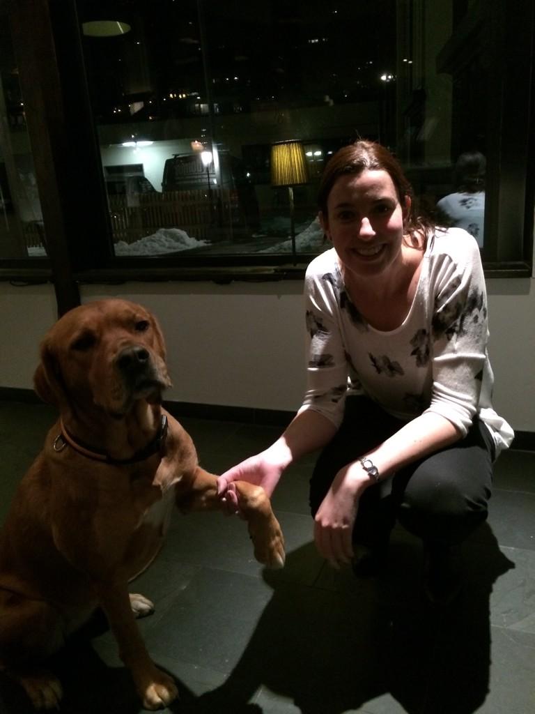 TopdeckRach's tweet image. Just met Selma the most gorgeous reception guard dog at Engelberg Ski Lodge! @tatekerry