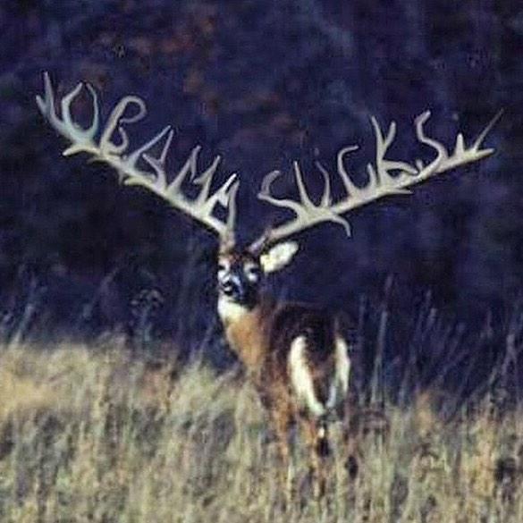 RacksofAmerica's tweet image. RT when you see it