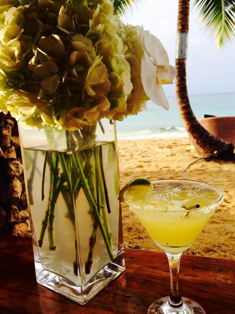 Lazy Sunday with Hortensia and ginger margaritas