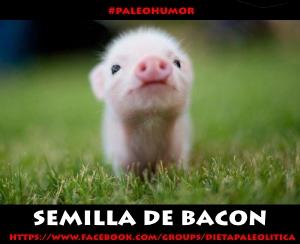 MarioLunaNK's tweet image. Para comérselo...

#Humor #Paleohumor