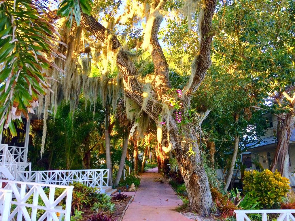 tallyrealty's tweet photo. Stunning Beauty in #florida http://t.co/sJbg0PZDoP