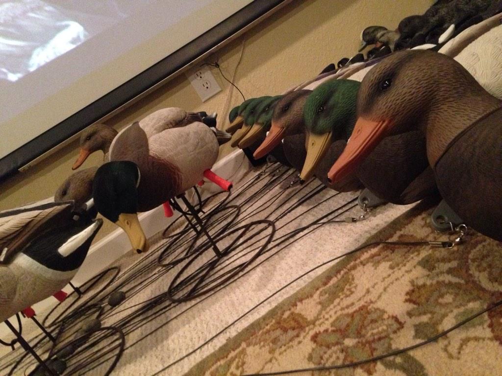 Stapleton831's tweet photo. New @RigEmRight and @higdondecoys all ready to be put to use! #teamxciter http://t.co/GlV3Z8MCCk