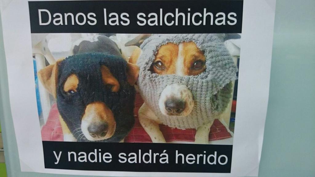 mpdelasheras's tweet image. Atraco canino. #humorperruno