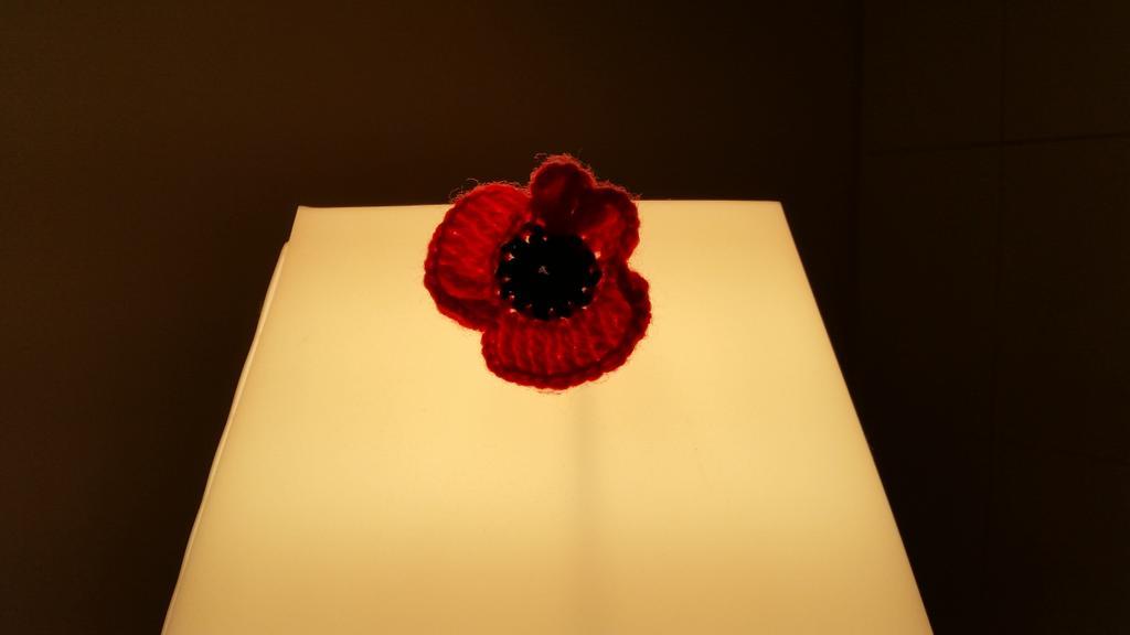 panther_33_'s tweet image. #RemembranceSunday I found this woven poppy laying on the floor when I visited Flanders Fields. #MessageFromBeyond