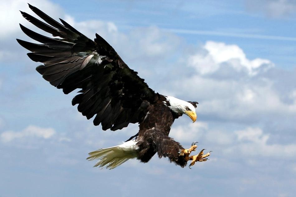 PawelSandler10X's tweet photo. Spread your wings but be ready for the turbulences. #10XPack #10X #WITNation http://t.co/76tHFaXVbo