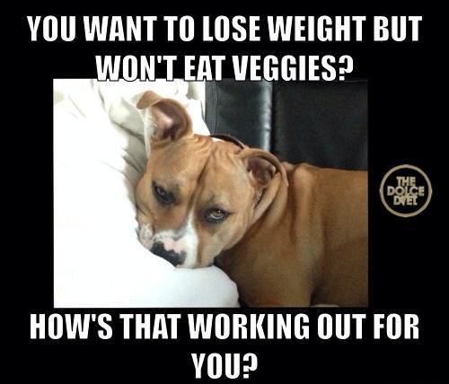 Mike DOLCE tweet media