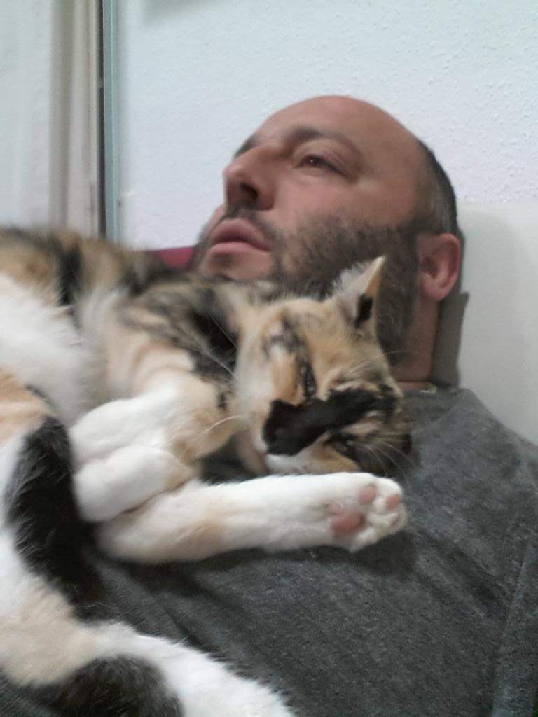 LolitoMb's tweet photo. Mi gatita y yo viendo el debate de gh15 http://t.co/4IZm04d2kH