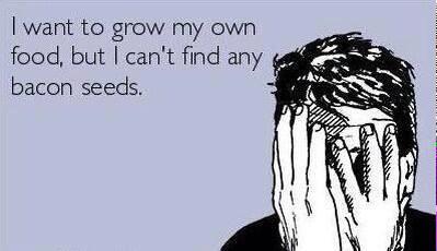 LookItsBacon's tweet photo. The struggle is real. #bacon http://t.co/0JWETboFkL