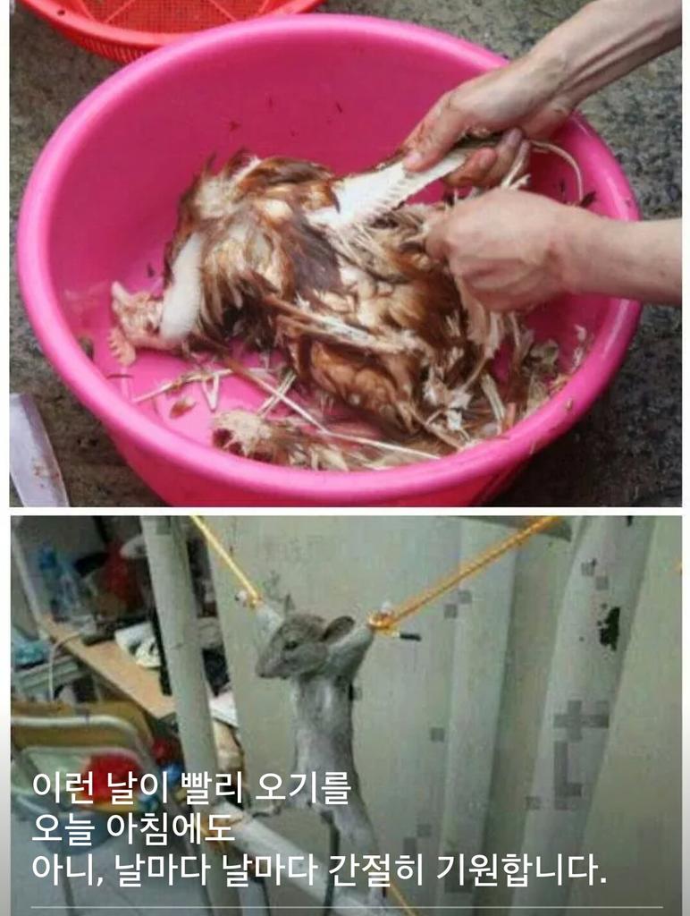 4e526cf41cf143a's tweet photo. 유종일 "MB 자원외교, 추산 손실액만 56조" 
"자원외교, 정치적 사리사욕 개입된 권력형 비리"  
http://t.co/ob7CAPkZKr http://t.co/tpHDOhISr2