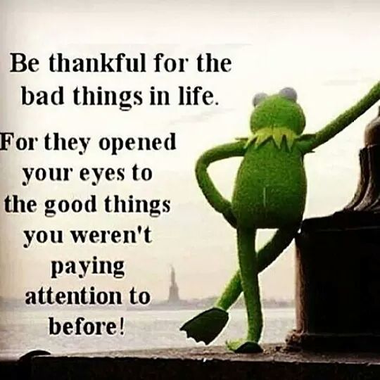 zappafaye's tweet photo. #OneWayToLookAtIt http://t.co/frZuFCs9P6