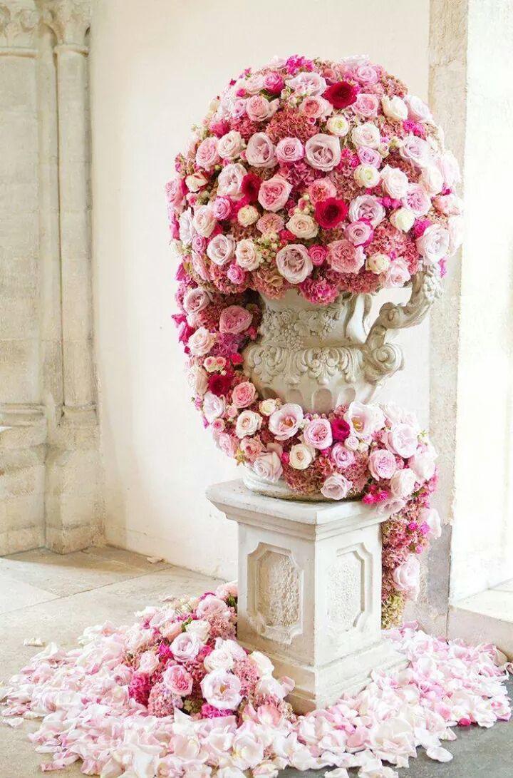 kabe1600's tweet photo. @saad_alshrefi 🎶🎶💐 http://t.co/KlGA2GPjWj