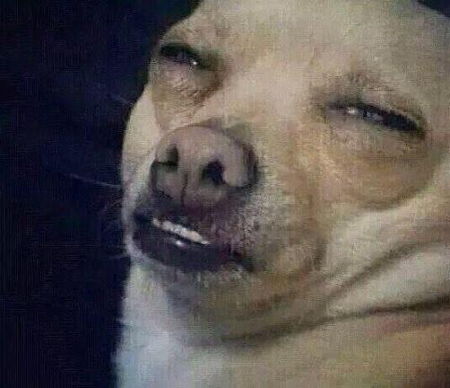 dolfinv's tweet image. mi madre: bajale a la musica
yo: