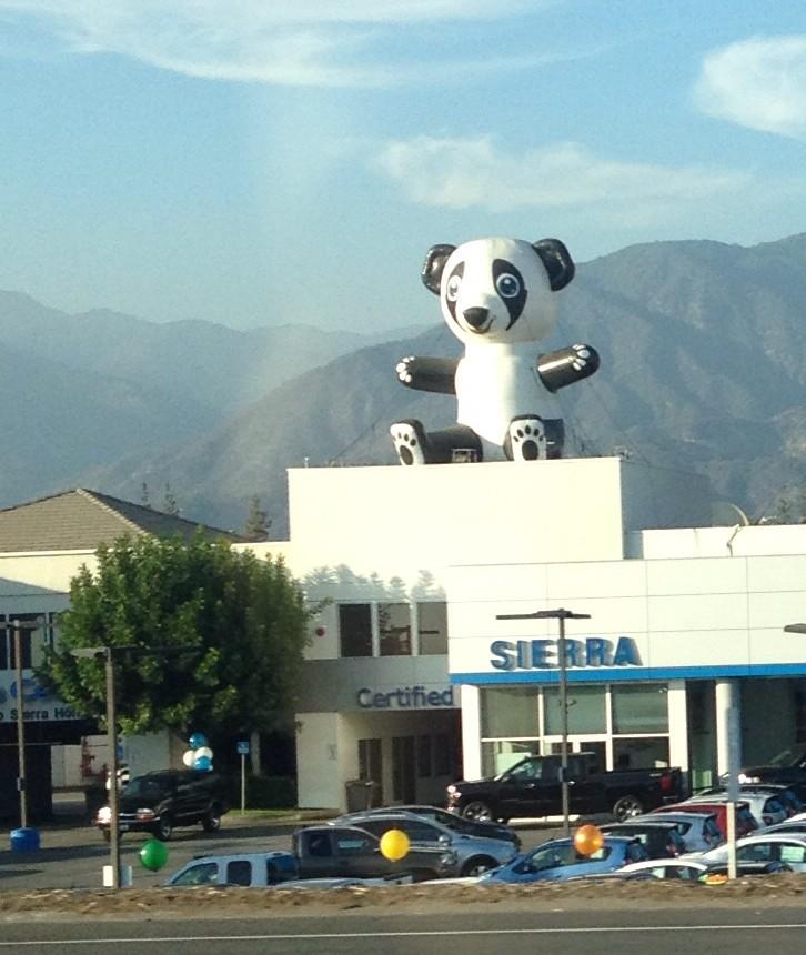 carlonie's tweet photo. My boyfriend Jerome's new job has him confused about his identity. #pandabae http://t.co/nJheIgULsg