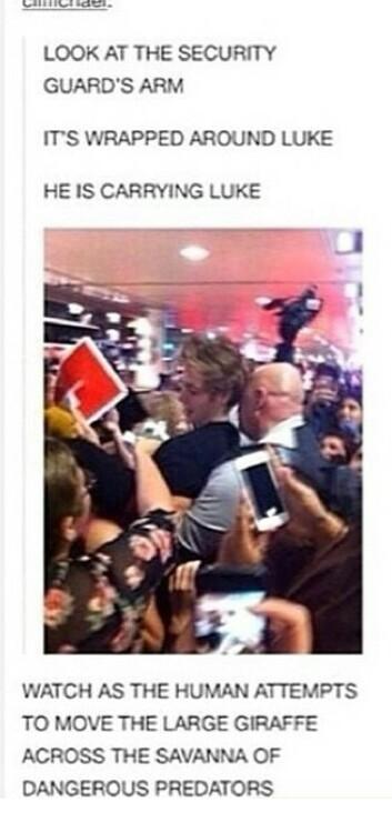 fyakosmos's tweet photo. i'm tweeting 15 5sos tumblr posts
10 rts on each = 150 votes (:
#vote5sos http://t.co/DPLxo2p7o3