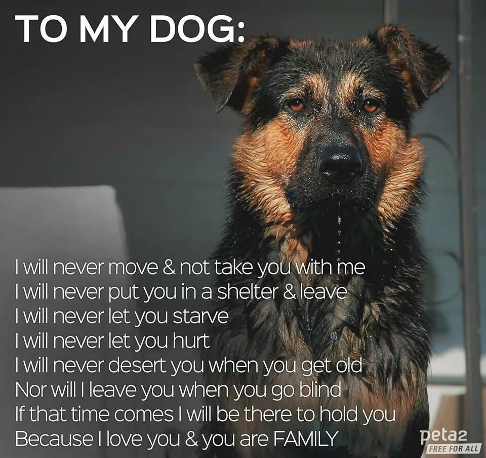 cote_greg's tweet photo. @PetSmart #inspiredbypets http://t.co/9AmN2Zl3bg