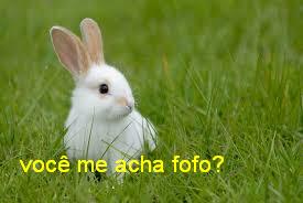sandra_gomes2's tweet photo. gente fala se é só fofo! http://t.co/bOjhVPztIY