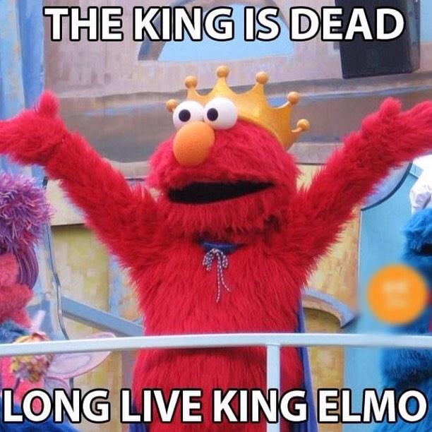 OisinRogers2's tweet photo. @elmoinhiding http://t.co/Y4sQlndskG