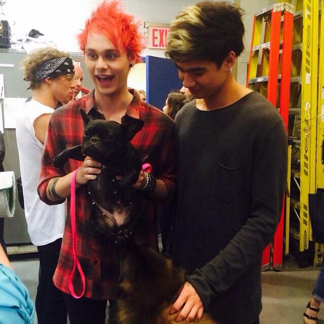 ImNachoPrincess's tweet photo. #vote5sos http://t.co/hQGAftyuIF