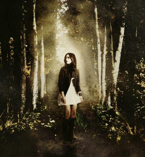 _AllisonSP's tweet image. 