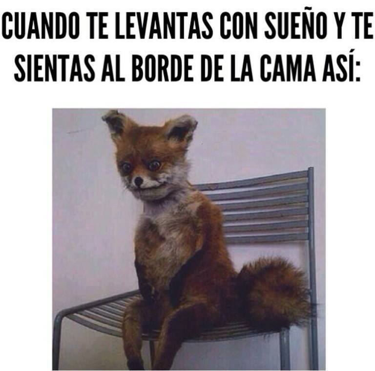 iPseudoFilosofo's tweet photo. Algo me dice que mañana, ¡LUNES!, estaré mas o menos así. http://t.co/mVdUUe2Luc