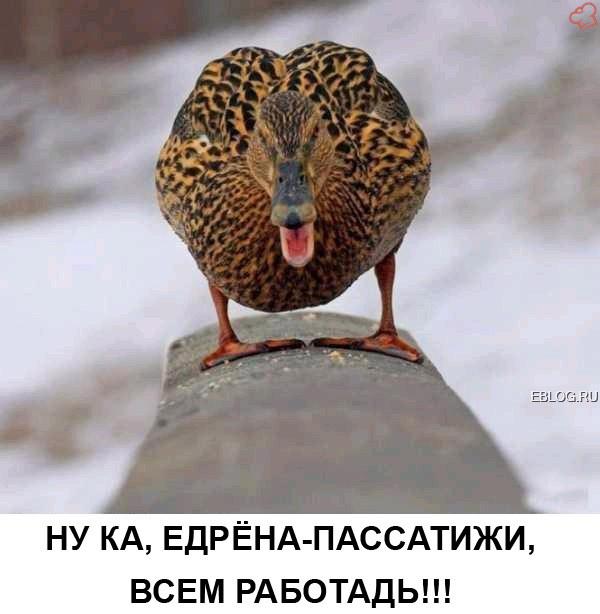 JobRest's tweet image. Как прошли выходные? В трудах праведных?)