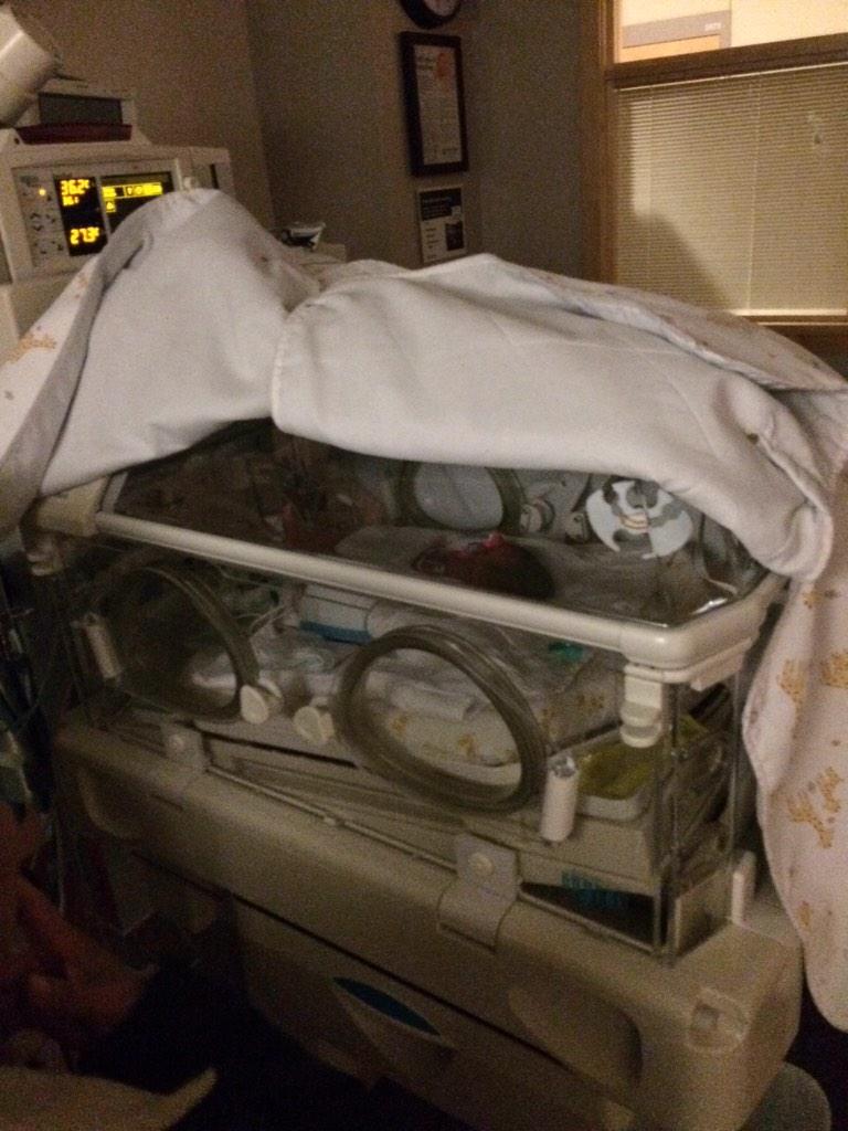 Danny_Centeno12's tweet photo. Visiting the newest family member: Leandro K. Garibay Centeno and Christina. #Upintheback #BiggerFamily ๐๐ถ http://t.co/JgLH9dUsMJ