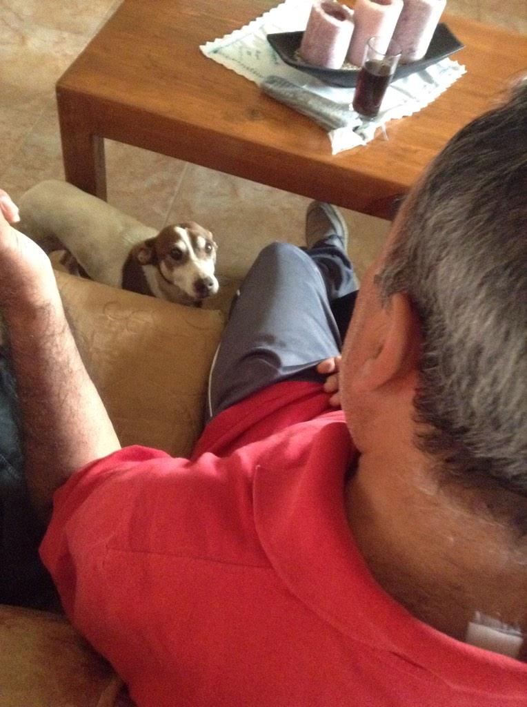manchas000's tweet photo. 🐶👨 http://t.co/OEUyZzZLr0