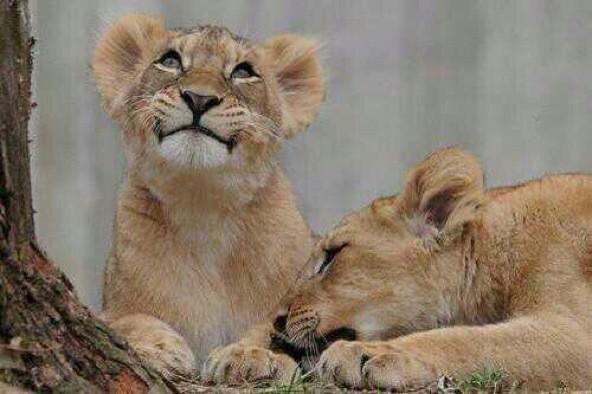 OraYReflexiona's tweet photo. Sonríele a la vida! http://t.co/QDUU3SQWN5