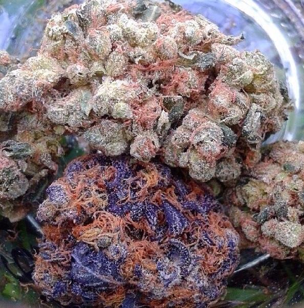 PotcoinFaucet's tweet photo. Do you even 420 Mom? 
Can these nugs get a retweet bruh?

#LegalizeIt #Marijuana #Potcoin #Cannabis http://t.co/YFBKBpCJgo