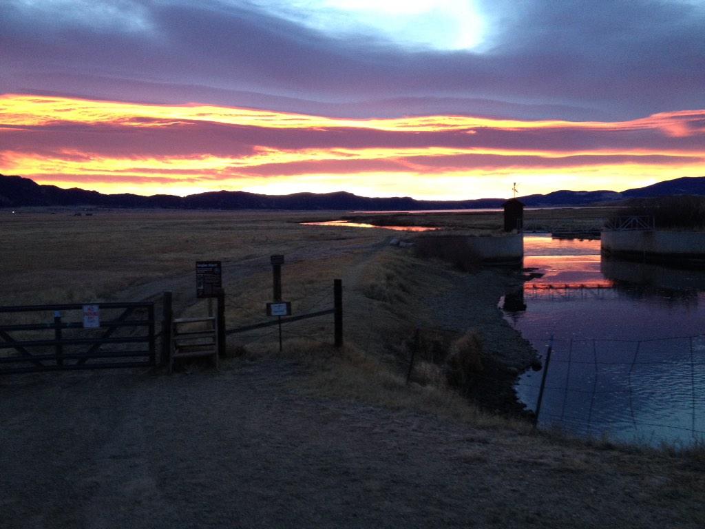 leasure_mark's tweet photo. Sunrise at the Dream Stream!@jctvweather @RedfishIsland @joewilkins3 #flyfishing http://t.co/EPCzzOSoxi