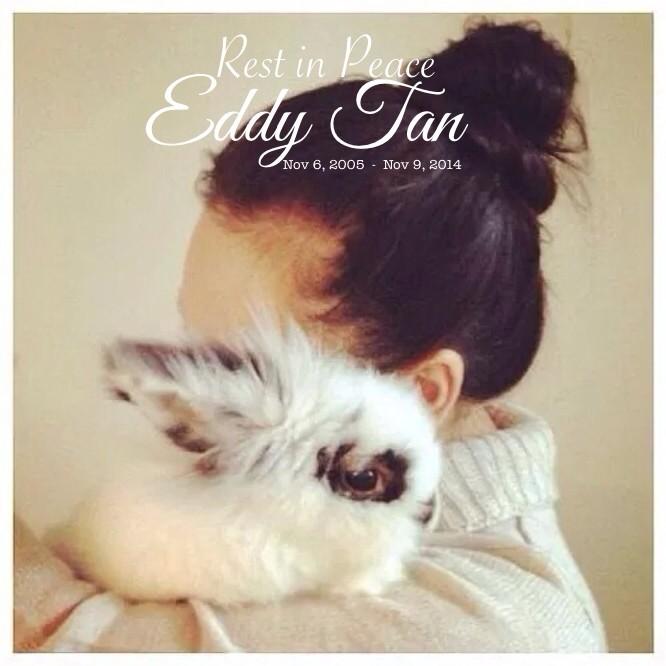 thebunnymama's tweet photo. 💔 http://t.co/vlg4vRx117