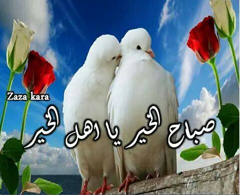 A6A6MMM's tweet photo. http://t.co/f4FNTAUTW1