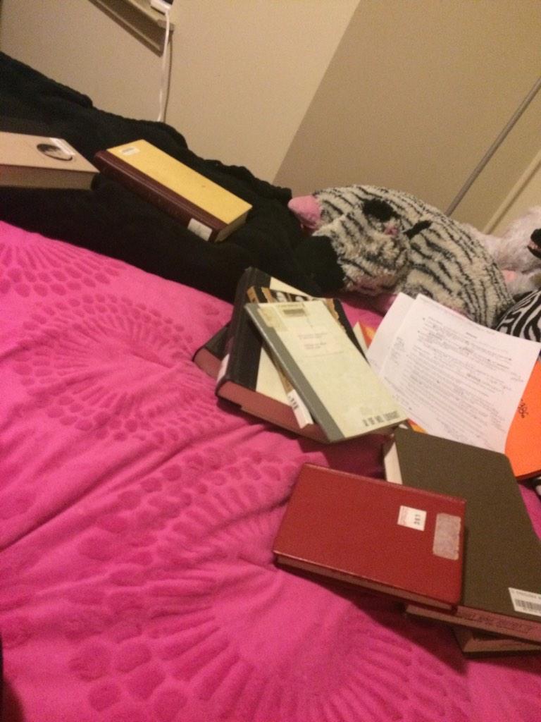 mahoneycommameg's tweet image. Too lazy to move your thesis sources so you sleep with them #historymajorproblems and this is only like 1/4 of them..