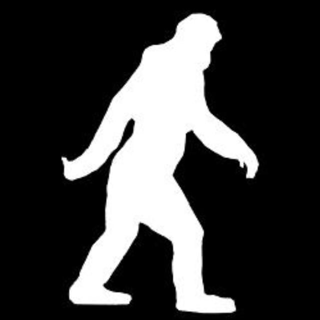 FBIGFOOTFANS's tweet photo. #FindingBigfoot #Alaska #Bobo #cliffbarackman #mattmoneymaker #AnimalPlanet #newseason #hairyman #bigfoot #sasquatch http://t.co/uvj8qnxpbe