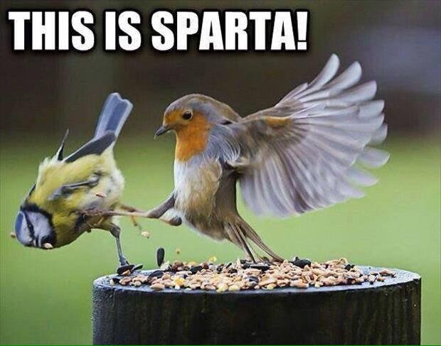 futureoffigure's tweet image. #MondayMotivation @CreateYourMark @Inn2Fitness @BodiesByTim @RenzoGracieBJJ @MilMuscleinc @AirForcePhi @NarkSide 👊💥