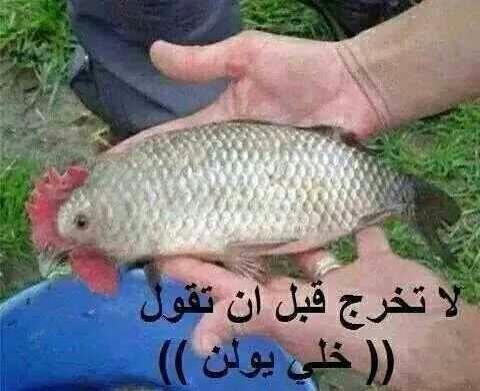 ساحرة العيون (@asdycx) on Twitter photo 