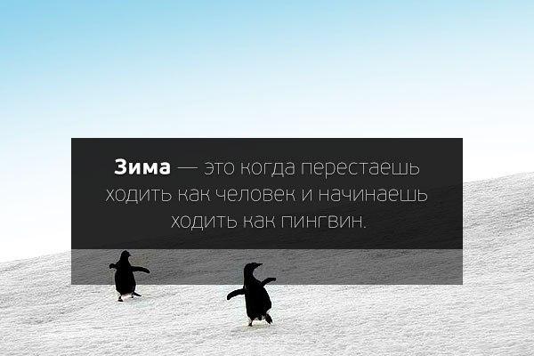 Бегать полезно для здоровья. Пингвины идут. Ходьба для похудения для женщин. Когда долго хожу начинает. Когда долго хожу начинает.