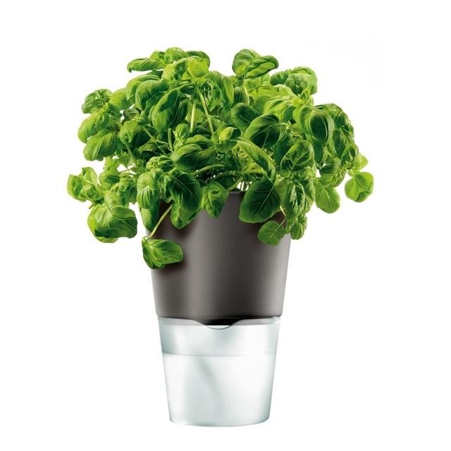 NicePresents's tweet image. Горшок для цветов Eva Solo, снабженный системой «естественного полива»
nicepresents.ru/catalog/?ID=34…