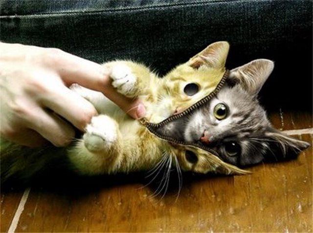 aggregatte's tweet image. &quot;Tu tiempo es limitado, de modo que no lo malgastes viviendo la vida de alguien distinto&quot; Steve Jobs. #FelizLunes!