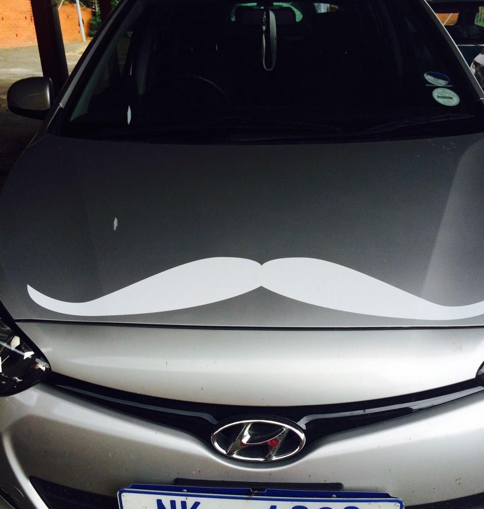 milena_gevers's tweet photo. My #Movember2014 #moustache on my wheels - only R200 &amp; proceeds went to Hospice 👍 how cool?! @ecr9495 http://t.co/Qckuow0whR