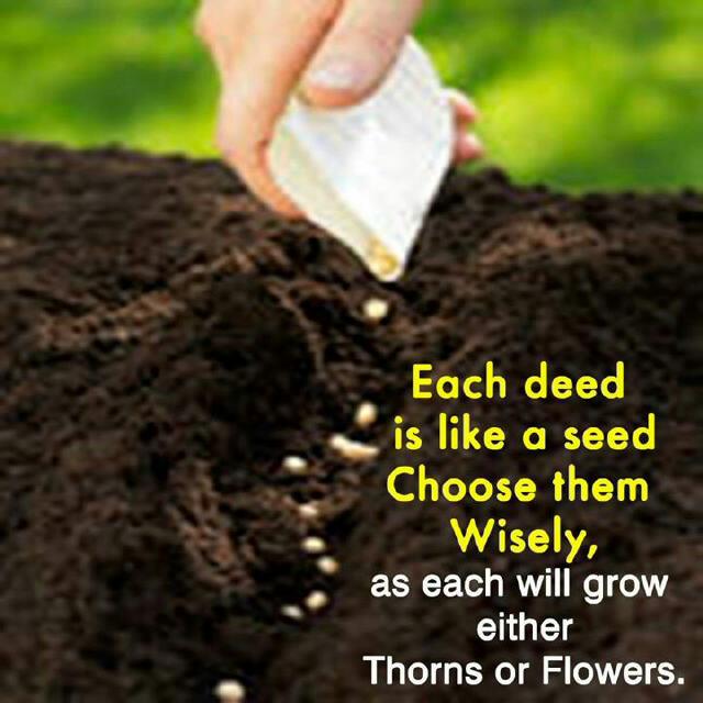 Adam Bunkau tweet media