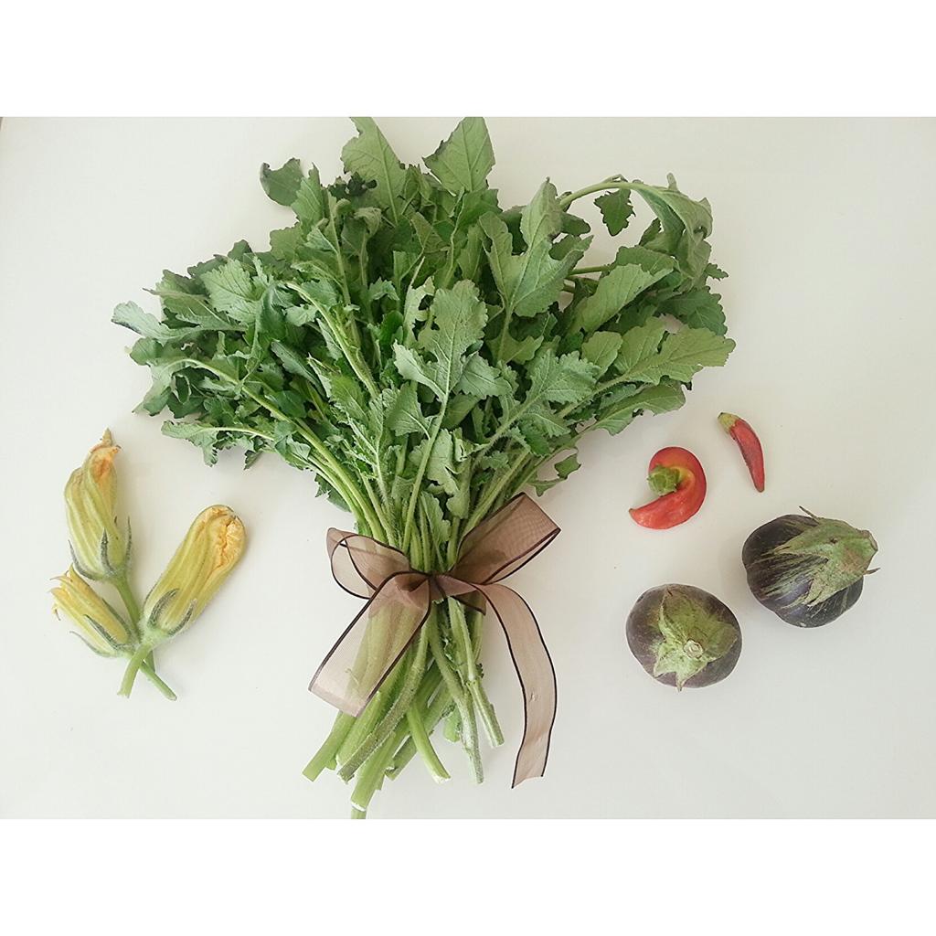 sallysuley's tweet photo. #Cyprus # forage #commonmallow #Gömeç #ebegumeci #healthyeating #vegetarian #veggie #veggieoptions # vegan #paleo http://t.co/Yfa3njzAi3