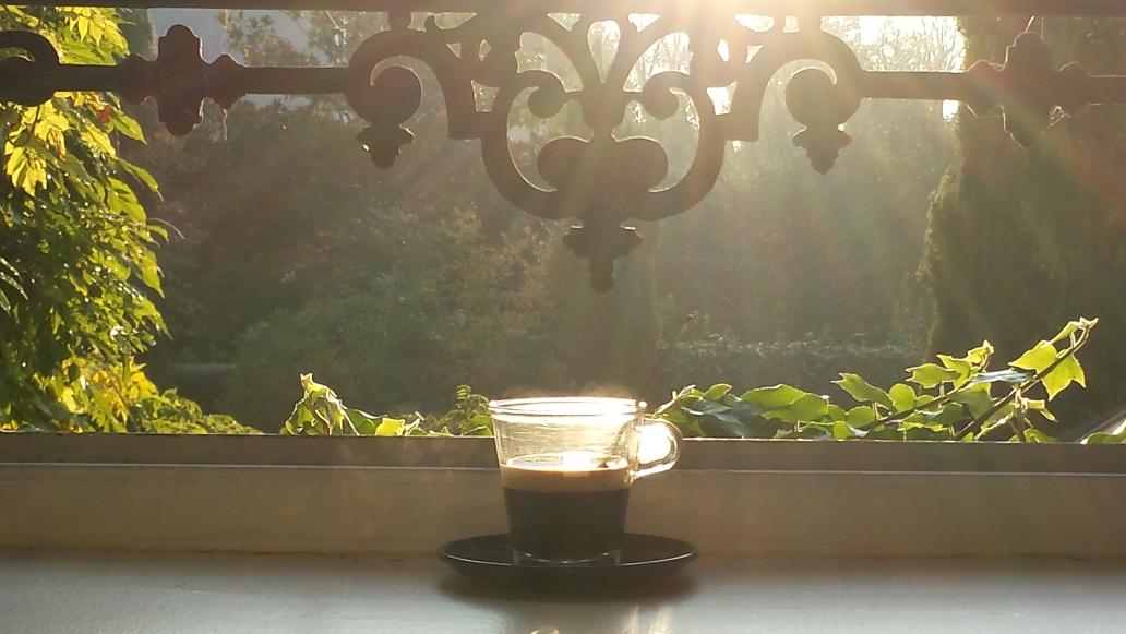 Wipiix's tweet photo. Résolution 115 de #Wipiix: retrouver le Père Noël, la magie de l'enfance,  et le plaisir de boire un bon #café! http://t.co/MVoxWjZCsX