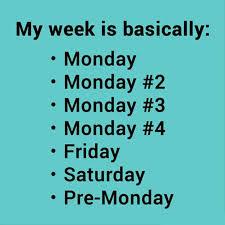 CandiceReardon's tweet photo. #mondaymorning http://t.co/UyTPBWETZe