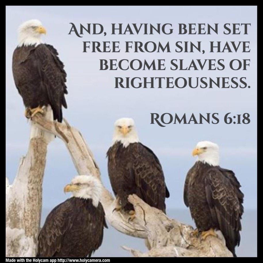 holycamera's tweet image. #HolyCam