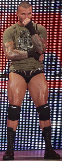 SpunkySchell's tweet photo. @browdebb ... no words needed @RandyOrton #TeamOrton #ortonite #ViperMode http://t.co/AZtB1pE3Kq