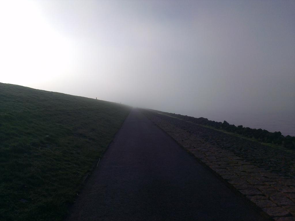 Zoek de verschillen....