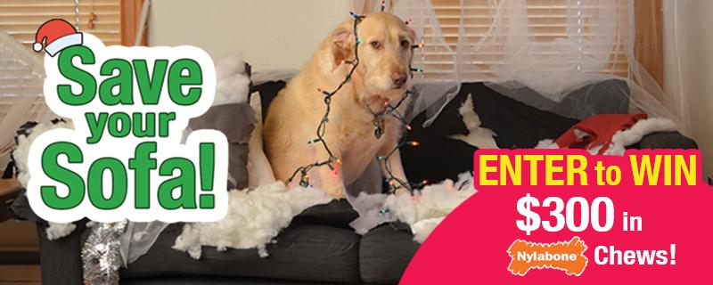 Nylabone Products tweet media