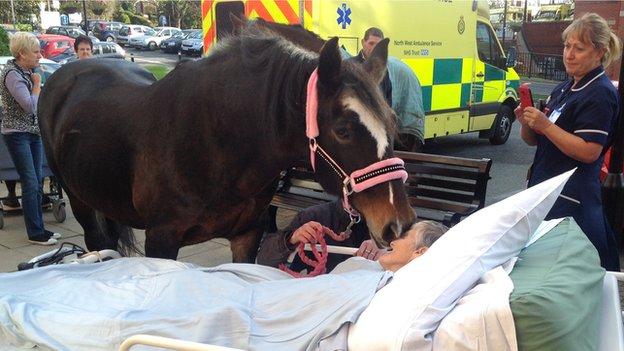 BBCRadio2's tweet photo. A dying woman got her last wish - to say goodbye to her beloved horse - do you understand why she felt this way? http://t.co/YH67Vusp5R